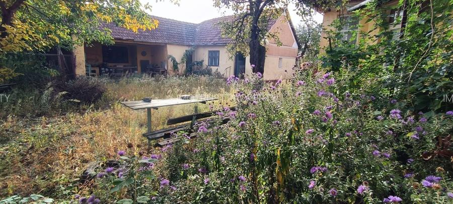 🏡  Teren generos cu Casă de Poveste în Șiria, Arad- Locație Rară - 2