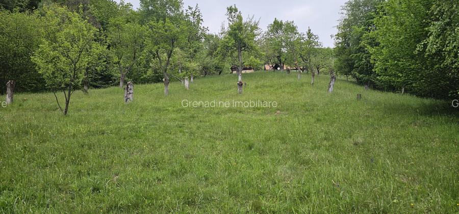 Domeniu Premium 1.7 Ha Intravilan Zărnești | Lizieră Pădure | Ideal Resort - 4