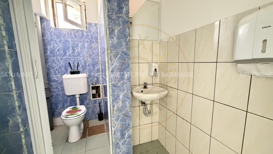 Inchiriere Spațiu Comercial 55 mp - Str. C.A.Române, Zona Ludy – Carei - 7