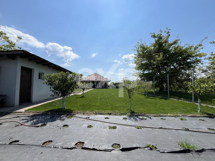 De vanzare casa parter teren generos in apropiere de padure Gradistea - 17