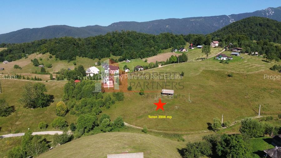 Teren intravilan 3.908 mp în Ciocanu – vedere panoramică spre Munții Bucegi