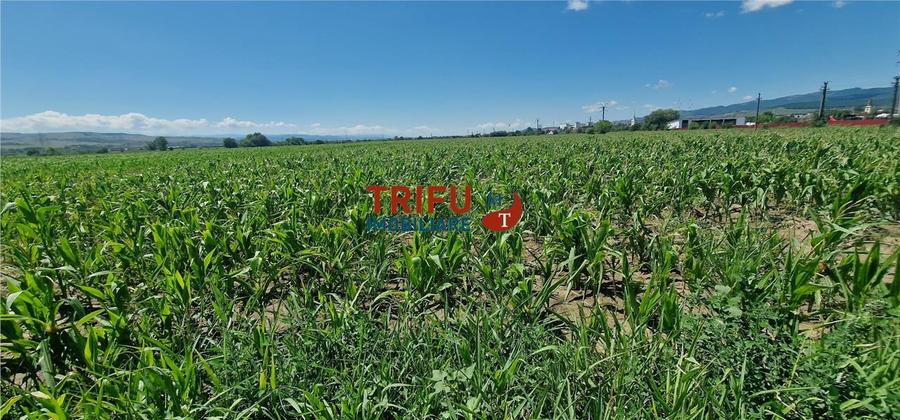 Teren de vanzare langa soseaua de centura, 5100 mp