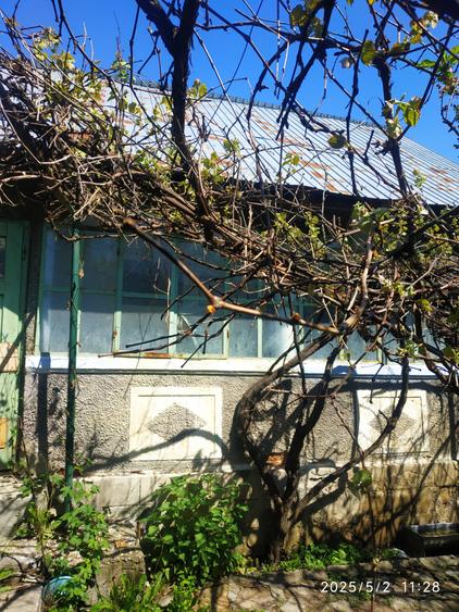 Pucioasa, casa si teren 1093 mp, gaze la poarta