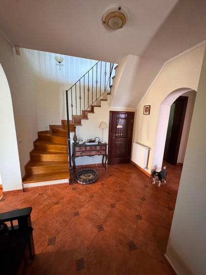 Domnesti Condominiul Brancovenesc