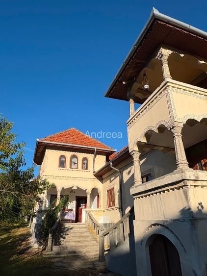 Casa Stil neoromanesc - 4