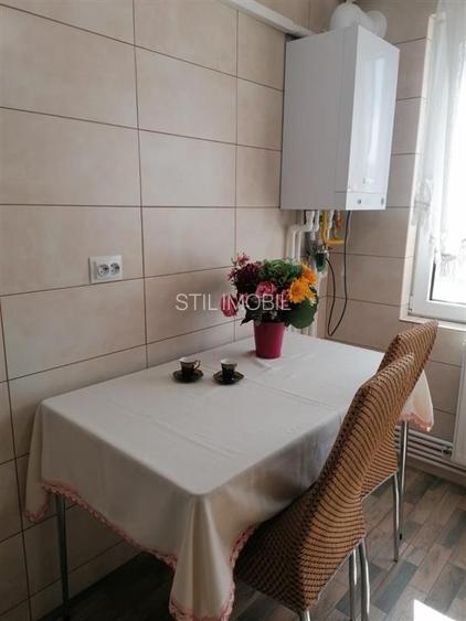 Apartament 2 Camere Alexandru cel Bun - 450 euro - 12