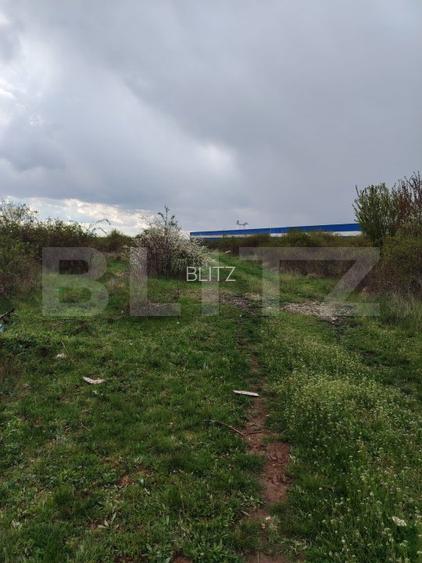 Teren INTRAVILAN 8280 mp, zona Laminorului - 6