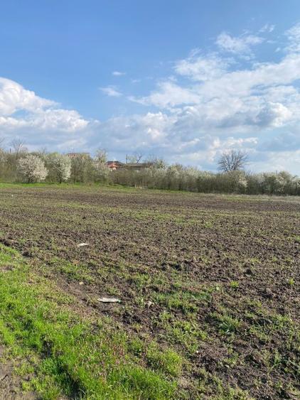Teren de vanzare centru Bucsani, acces imediat din DN1