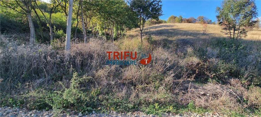 Teren intravilan 600 mp de vanzare zona Alba Micesti