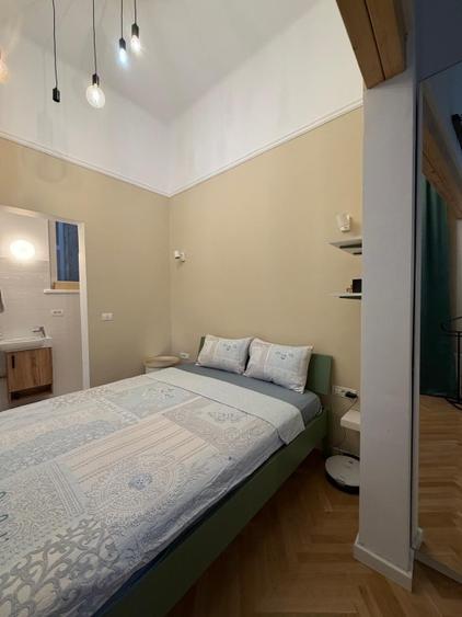 Apartament deosebit, situat in centrul Timisoarei