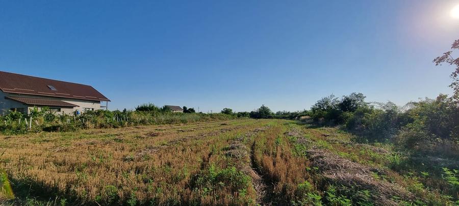 Oportunitate! Teren Mihăilești – 2.500 mp la 12 €/mp