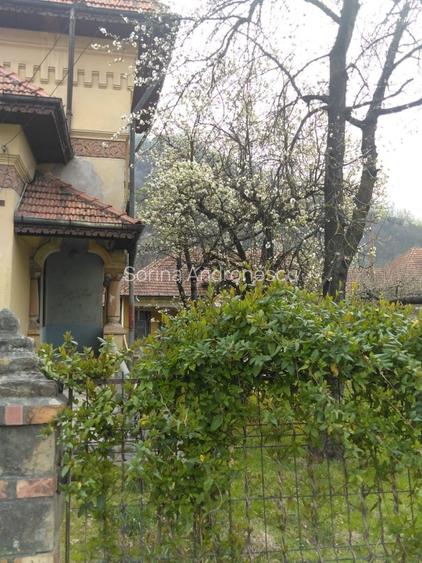 Conac autentic cu arhitectură deosebită!Proprietate cu caracter și teren 7.817mp