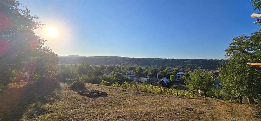 Teren intravilan + extravilan 10.537 mp – casa, livada sau ferma de familie
