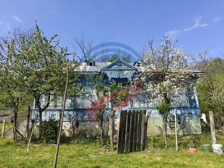 CASA LA 20 KM DE CRAIOVA CU 10000 MP. TEREN