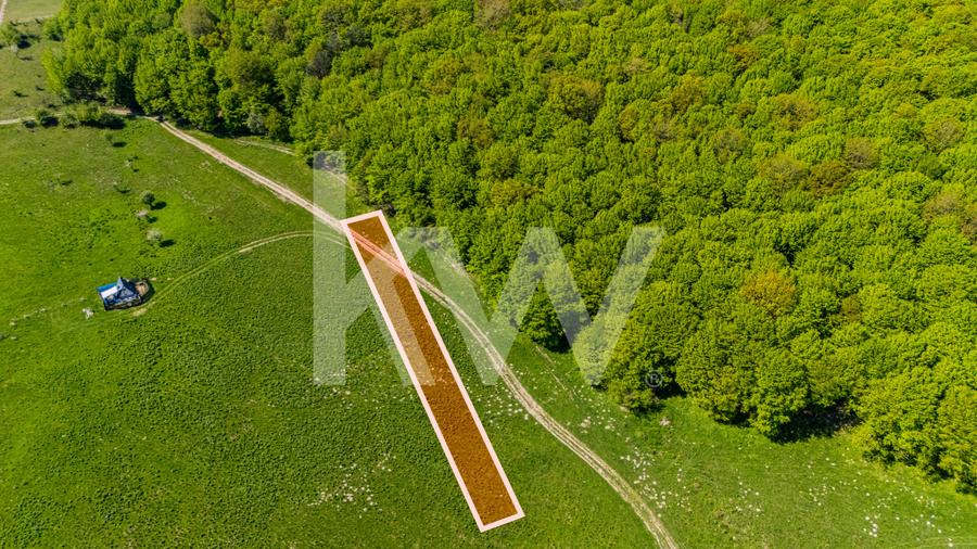 Teren 1500 mp | Zona Viesel – Codlea | Priveliște Superbă | Investiție