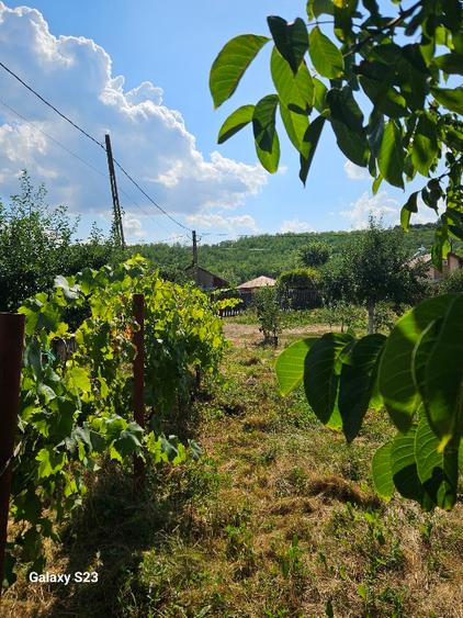 Casa de vanzare Barasti Olt