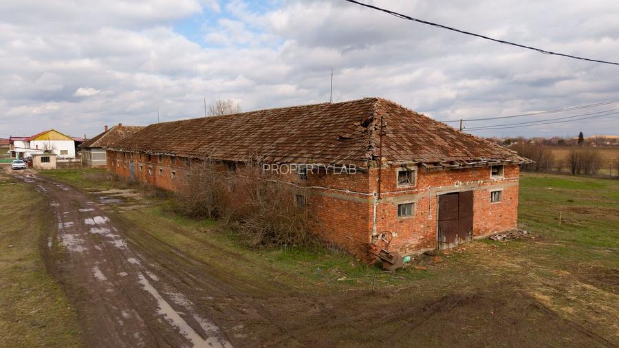 Fermă cu teren intravilan de 35000 mp în Mișca - 22
