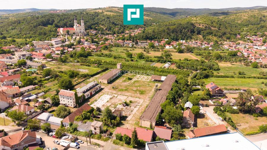 Spațiu industrial cu Teren 13.072 mp în Lipova - 11