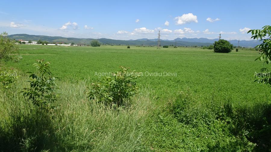 Vand 2 parcele de  teren intravilan in Deva, zona Haraului, toate utilitatile - 2