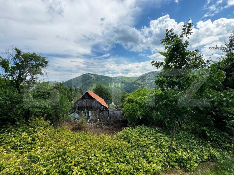Casă la munte cu teren generos de 9340mp în zona Căpâlna - Valea Sebeșului - 3