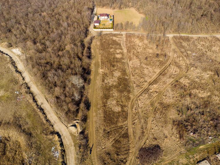 Teren intravilan Măgurele langa padurea Cornetu si Arges