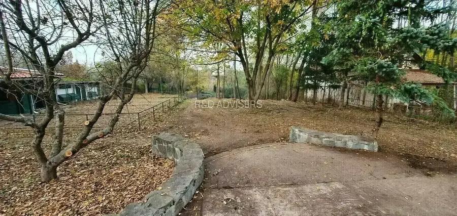Vilă 380 mp cu deschidere la Lacul Snagov | 4.700 mp teren | Piscină - 8