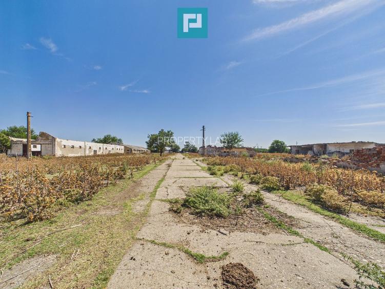 Teren intravilan 146.866 mp | Jimbolia - 15