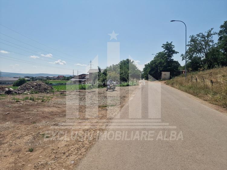 Teren intravilan | De vanzare | 2350 mp | 24 ml deschidere | Cetate - 4