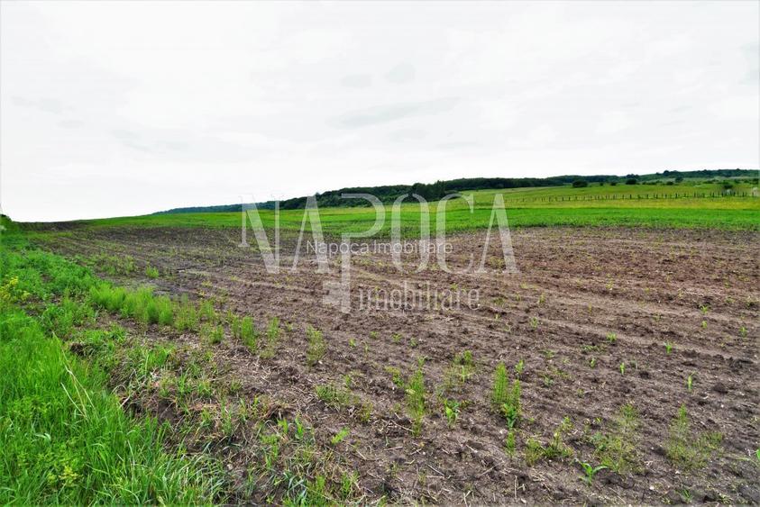 Teren extravilan pentru constructii de vanzare in Popesti - 5