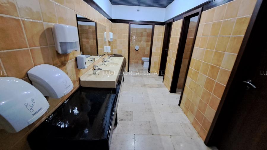 SPATIU BIROU- CLADIRE BIROURI  PREMIUM - 16