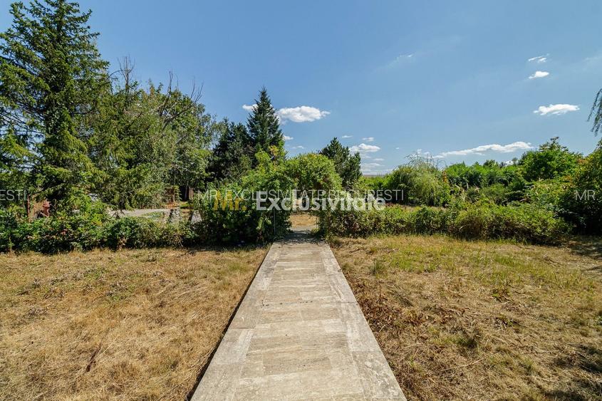 Domeniu privat 5.000 mp, cu reședință de 625 mp și piscină, Corbeanca - 14