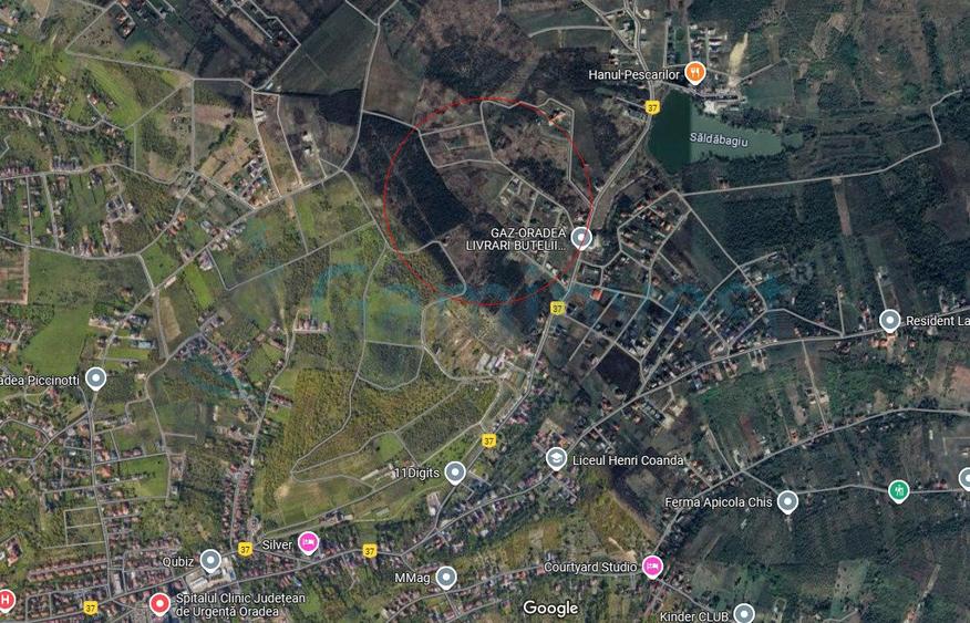 Teren intravilan de vanzare pentru dezvoltare imobiliara, Saldabagiu de Munte