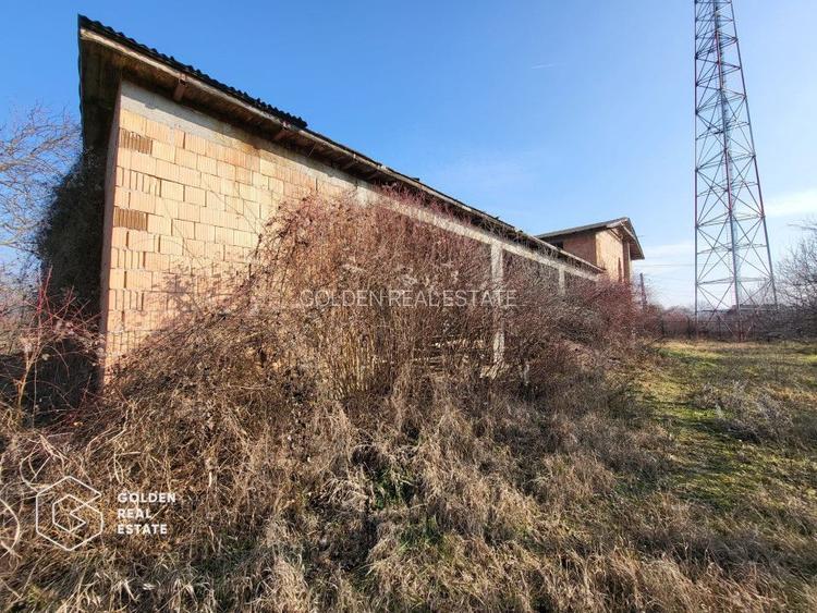 Casa la rosu, teren 7105 mp, Lipova - 4