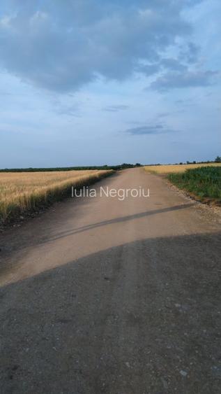 Teren 1070 mp Corbeanca in apropierea lacului - 6