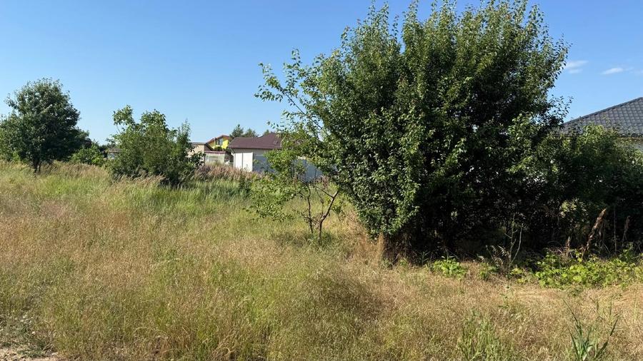 Vand lot de 400 mp2 in domnesti