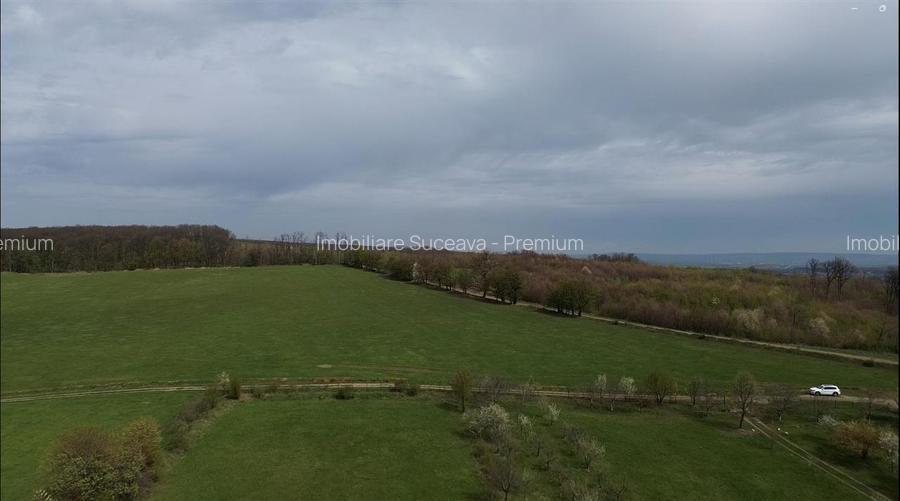 Teren intravilan de vânzare în Mitocu Dragomirnei | 5.800 mp | 43 m de - 11