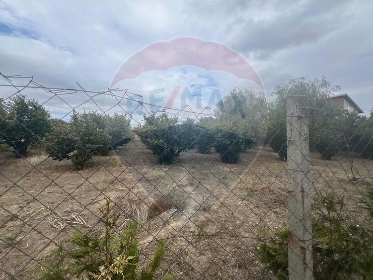 Teren 1300mp Campineanca / Intrare din Strada Hotarului