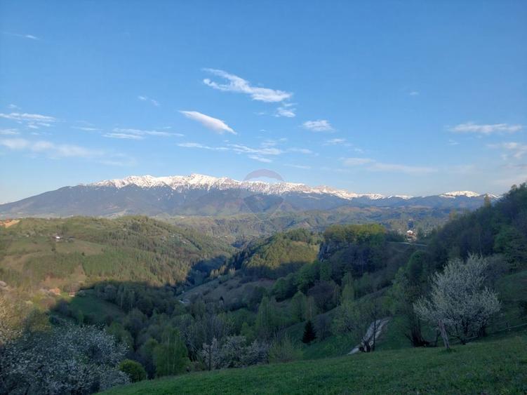 Teren 3,618mp Pestera / Strada Principala