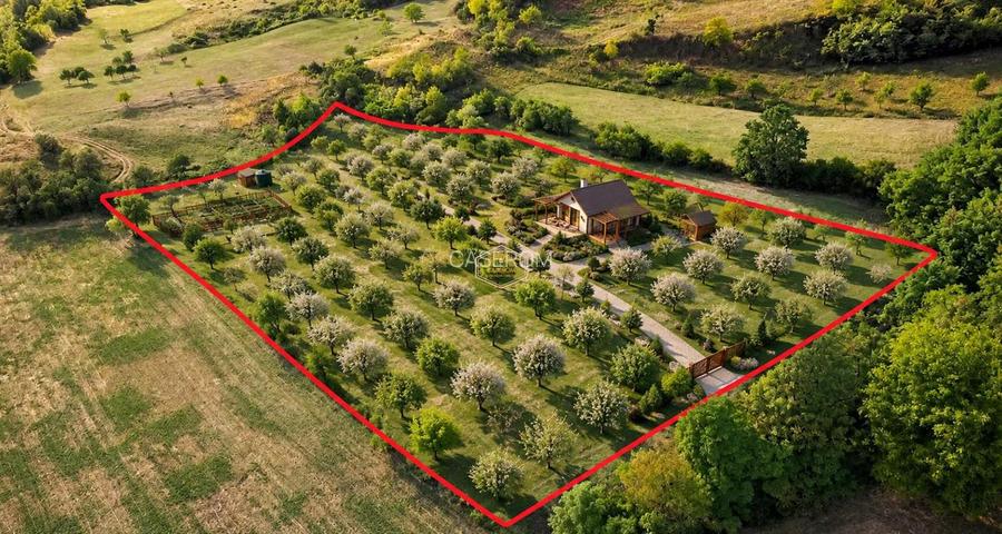 VIDEO | Super view | Teren 8.500 m² in Maramures | Viitorul tau colt de liniste