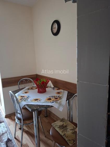 APARTAMENT ULTRACENTRAL CU PANORAMA  SUPERBA ASUPRA ORASULUI - 39