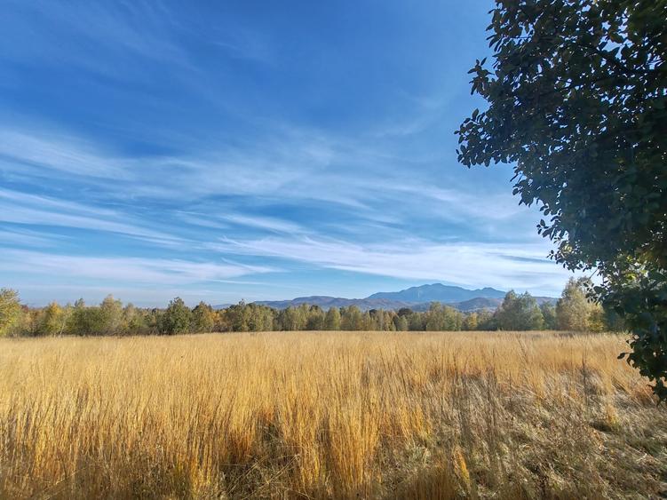 5.800 mp extravilan, Sohodol-Bran, retreat, cabane, off-grid ecoturism, panorama