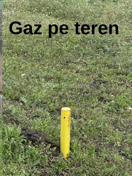 Teren Frumusani Gaz- Curent 400 mp |  D.N. 4 - 3
