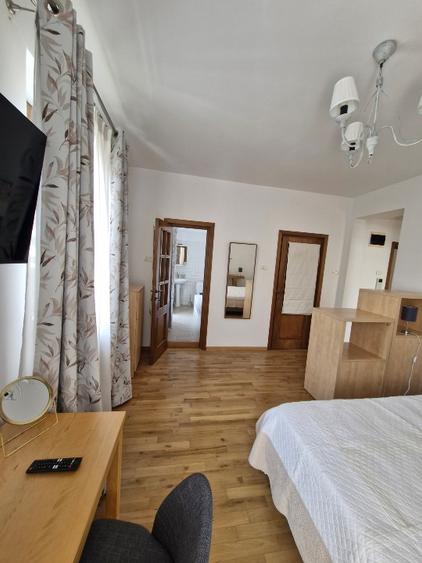 Lovely large sunny studio apartment – Dacia Polona area
