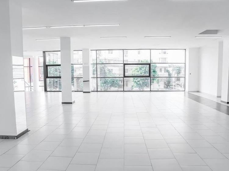 Delfinariu - bd. Mamaia, spatiu comercial , 325 mp.