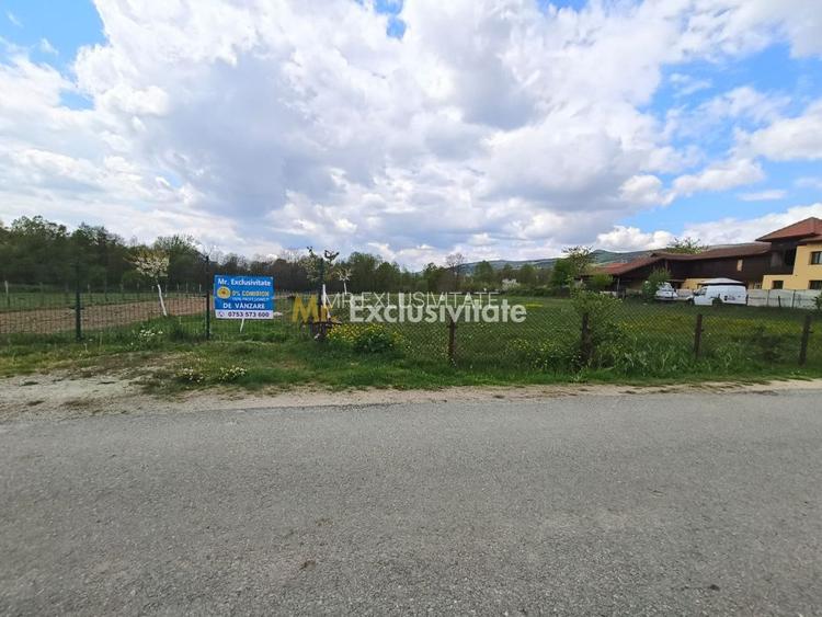 Teren mixt de vânzare Crasna Gorj, aproape de Rânca– 19.209 mp - 5