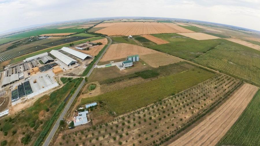 Livadă de 3,6 hectare în Iratoșu – Oportunitate