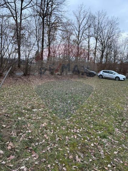 Teren intravilan cu priveliste de vanzare in Rus