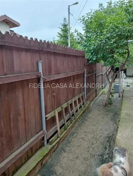 Casa 4 camere , 260 mp teren ,zona Ticau - Iasi - 6