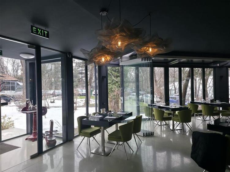 Vanzare spatiu comercial/restaurant/afacere la cheie Nordului - Herastrau Parc,