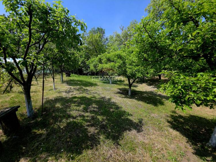 Teren intravilan 4,516mp Doina - 22